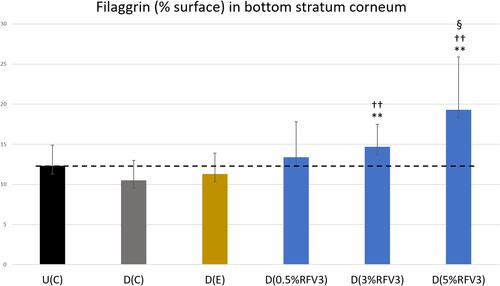 Figure 8 Image analysis for % surface positive immunostaining of filaggrin at the bottom of the stratum corneum with day 1 explants. Error bars represent SD. Explants analyzed: 18 (6 batches, 3 explants per batch). Image analyses n=9 (3 images per explant). Treated samples vs U(C): § for p < 0.05. Treated vs D(C): †† for p < 0.01. Treated samples vs D(E) ** for p < 0.01.
