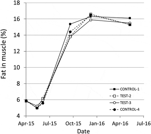 Figure 3. Percentage change of muscle fat content during the experimental period (May 2015 – June 2016) for the control and test group. Samplings were conducted in May, June, and October 2015, in addition to January and June 2016. Values are shown as pooled means of the pens
