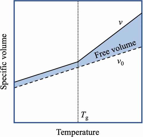 Figure 7. Temperature change in the free volume of an amorphous polymer