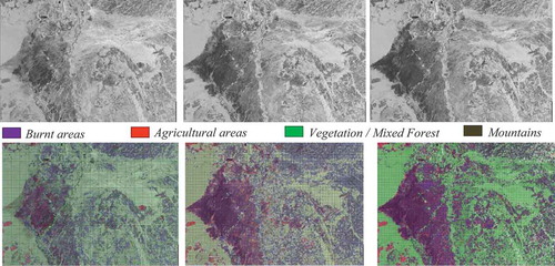 Figure 14. A multi-temporal data set for the first use case. (From left to right and from top to bottom): Quick-look views of the first Sentinel-1 image from August 2nd, 2019, of the second image from August 26th, 2019, and of the last image from September 7th, 2019, followed by the classification map of each of the three images