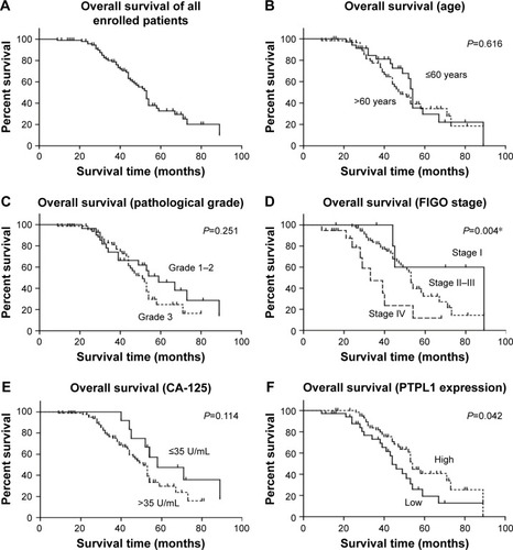 Figure 2 Kaplan–Meier survival analysis of overall survival according to clinicopathological characteristics.