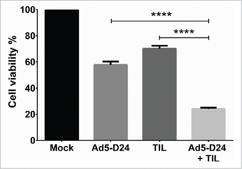 Figure 5. Improved in vitro cell killing with TIL and Ad5-D24 combination. HapT1 cells were infected with Ad5-D24 (100 VP/cell) for 3 d before adding HapT1 TIL. Target cell viability was determined 24 h after TIL addition. Error bars, SE. ****p < 0.0001.