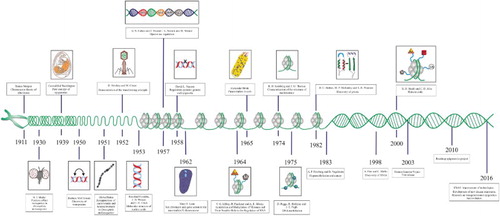 Figure 3. Timeline of the principle events in the development of epigenetics. A long journey has been traveled since Waddington coined the concept of epigenetics (for details see the text).