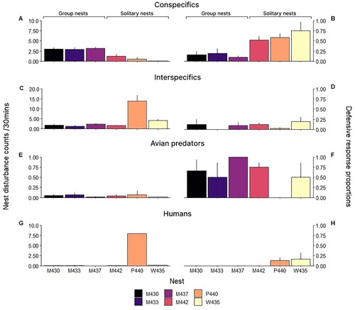 Figure 1. Left column: Average (+SE) nest disturbance count of A, conspecifics, C, interspecifics, E, avian predators and G, humans recorded within 30 m of each nest. Right column: Proportion (+SE) of defensive response by NZFT from each nest towards disturbance type, B, conspecifics, D, interspecifics, F, avian predators and H, humans over a 30 min period. Nests have been indicated by colour.