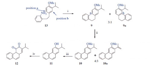 Scheme 3. Synthesis of 11 and 12a. aReaction conditions and reagents: (i) isopentyl nitrite, H2SO4, acetone, 0–10 °C, 2 h, 24%; (ii) DDQ, toluene, reflux, 24 h, 70%; (iii) BBr3, DCM, N2 atm., 0 °C, 12 h, 93%; (iv) DMP, DCM, 0 °C, 12 h, 61%.