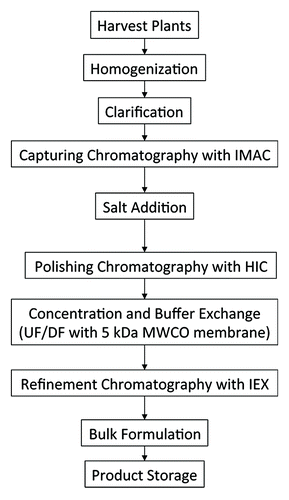 Figure 1. Flow diagram of pp-PA83 purification process.