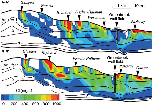Figure 14. Greenbrook well field, chloride distributions, cross-sectional view (from Bester et al. Citation2006, with permission). Arterial roads indicated. Cl, chloride.