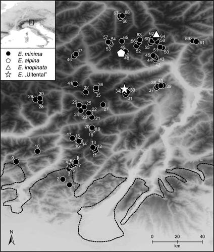 Figure 1. Sampled populations of Euphrasia minima (numbered), E. alpina, E. inopinata and E. “Ultental” (details are given in Table 1). The broken line indicates the maximal extent of the ice shield during the Last Glacial Maximum (taken from van Husen Citation1987).