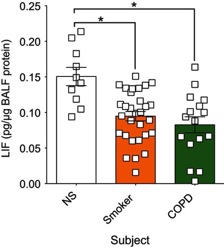 Figure 1 In human BALF, leukemia inhibitory factor (LIF) protein is significantly reduced in both smokers and chronic obstructive pulmonary disease (COPD) patients compared to nonsmokers. LIF was measured in lung BALF from age-matched healthy control non-smoker subjects (NS; n=10), smokers (n=30), and subjects with COPD (n=16) by Luminex bead assays. LIF levels were standardized to BALF total protein concentration. Graphs are represented as mean LIF concentration (pg of LIF per µg BALF protein) ± standard error of the mean (SEM) *p<0.05 compared to nonsmoking controls. *p<0.05 comparing both groups connected by a line by Student’s t-tests and corrected with Bonferroni analysis.