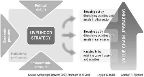 Figure 1. Dynamic livelihood strategies.