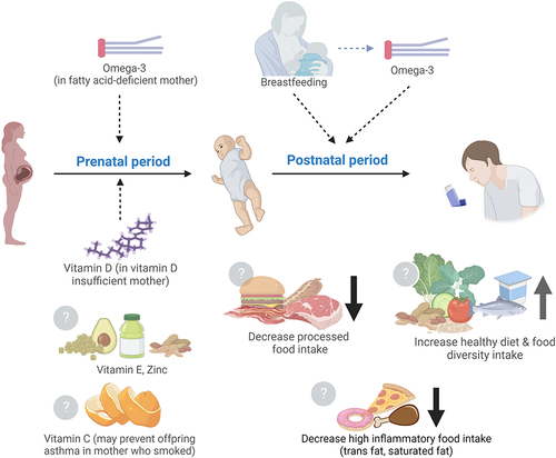 Figure 2 Dietary interventions from current evidence on prenatal intake in pregnant mothers and postnatal intake in children for asthma primary prevention.