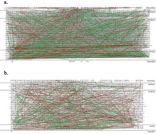 Figure 7. Metacore GeneGo Pathway analysis: Direct interactions network. (a). 1619 unique gene names from the list of significantly different probesets between TE and Vehicle via LIMMA at p < 0.01 stringency. (b) Control random list of 1620 gene names. Titanium dioxide particles did not induce enough changes to build a network