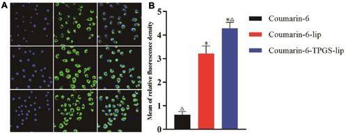 Figure 6 Cellular uptake of coumarin-6-liposomes and TPGS-liposomes in RAW 264.7 cells. (A) Fluorescent images of each group. (B) Comparison of relative fluorescence intensity of each group. Data are presented as mean ± SD from five independent experiments (vs coumarin-6, *P<0.05; vs coumarin-6-lip, ΔP<0.05).