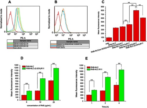 Figure 3 Cell uptake of different formulations in HaCaT cells analyzed by flow cytometry.Notes: Flow-cytometry analysis (A and B) mean fluorescence intensities (C) of different formulations in HaCaT cells. (D and E) Mean fluorescence intensities of RhB-NLC and RhB-NLC-(0.02%) R11 incubated with HaCaT cells in various concentrations and time. **P＜0.01. Data presented as mean ± SD (n=3).