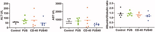 Figure 6. Local FUS40 and CD-40 therapy did not cause liver toxicity in B16F10 melanoma bearing mice. Levels of ALT, AST, and Albumin to Globulin ratio in the serum of mice were determined at the time of sacrifice 25–30 days post tumor inoculation. Data were analyzed by ANOVA followed by Fisher’s LSD without multiple comparisons correction (n = 6).