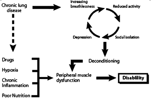 Figure 1 Impact of chronic respiratory disease on disability. (Originally published by Dr. Mike Morgan; permission obtained.)