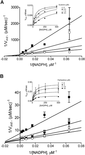 Figure 7.  Mode of NOX2 inhibition by suramin (A) and perhexiline (B). Inhibition modalities were determined by global nonlinear fitting and model comparison as described in “Methods”. Lineweaver-Burk plots (foreground) were generated by reciprocal transformation of the best nonlinear fits (inset). Solid lines represent the best-fit global trends. (A) Suramin exhibits a competitive pattern of inhibition with respect to NADPH (best-fit parameters: Ki = 0.7 ± 0.1 µM, Km = 52 ± 8 µM, Vmax = 0.013 ± 0.001 µM/s). (B) Perhexiline exhibits a noncompetitive pattern (best-fit parameters: Ki = 13 ± 2 µM, Km = 44 ± 8 µM, Vmax = 0.46 ± 0.03 µM/s). Data shown are representative; differences in Vmax values between the two data sets reflect the typical variability observed with neutrophil membrane preparations.