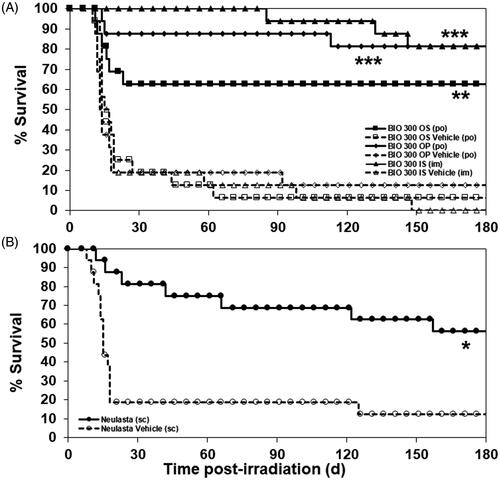 Figure 3. The Kaplan–Meier curves of 180-day survival of CD2F1 mice administered BIO 300 IS, OP, OS, or Neulasta. Mice that survived 30 d post-TBI in the above study were monitored for an additional 150 d until 180 d post-TBI. (A) Mice (n = 16/group) were administered the indicated BIO 300 formulation or vehicle as described above. (B) Mice (n = 16/group) were administered Neulasta or vehicle as described above. Survival was analyzed at 180 d post-TBI. *Statistical significance at day 180 between the drug treated group and respective vehicle control as determined by log-rank test (*p<.05, **p<.01, ***p<.001).
