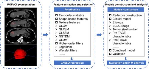 Figure 2 Overview of radiomics analysis in this study. The volume of interest (VOI) was formed after region of interest (ROI) outlining on the arterial phase of CT enhancement. Features were extracted from the VOI and selected using least absolute shrinkage and selection operator (LASSO) regression. A combined radscore-clinical model was developed to predict overall survival (OS) in patients with hepatocellular carcinoma (HCC) after transarterial chemoembolization (TACE), and a Kaplan–Meier (K-M) stratification analysis of risk factors for predicting OS was performed.