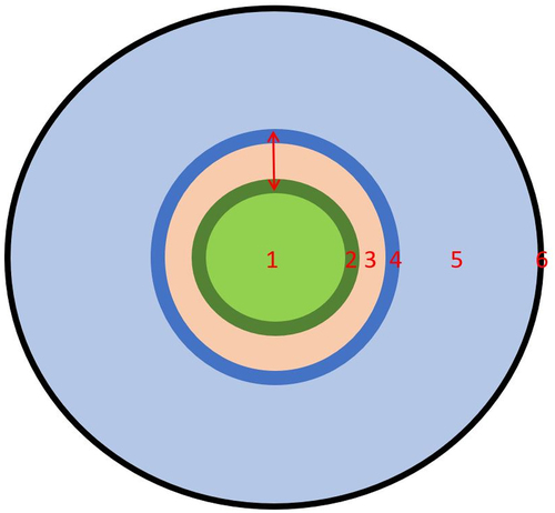 Figure 1. The diagram represents the cross section of a typical root with the red arrow indicating the location of P-ring. Vascular tissues (1); Pericycle (2); Endodermis (3); Inner Cortical Cells (4); Cortex (5) and Epidermis (6) are labelled to understand the spatial resolution of the P-ring in different species of plant roots..
