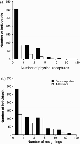 Figure 2. Distribution of (a) recaptures, (b) resightings of Common Pochards and Tufted Ducks from 2003–04 to 2009–10.