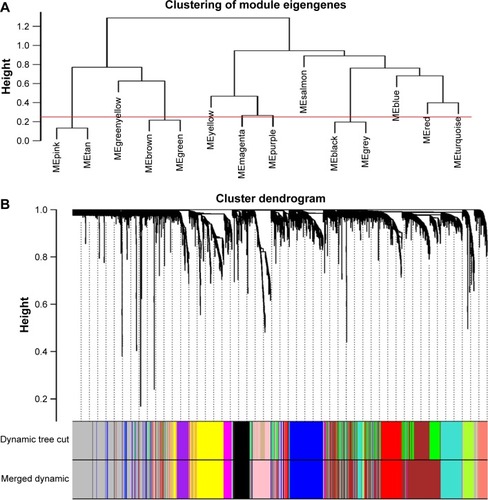 Figure 2 Construction of co-expression modules by WGCNA package in R.