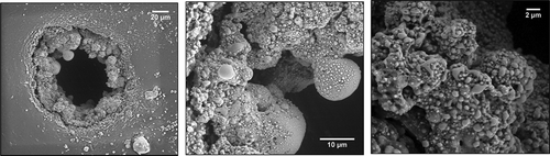 Figure 5. Illustration of the boiling nature of the Co-1 elastomer upon electrical breakdown in different magnifications. Droplets of condensed degradation products are formed on the surface of the breakdown zone. Very little solidification is observed upon the introduced electrical breakdown in this elastomer, and most importantly, there is no solidified thread formation.