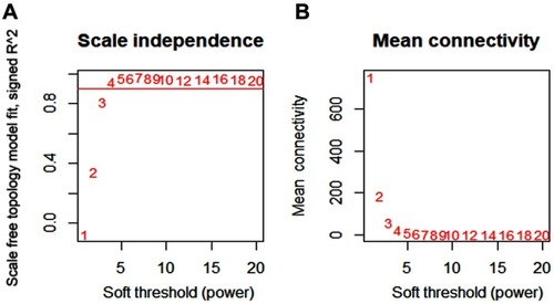 Figure 2 Determination of the soft-thresholding power.Notes: (A) Analysis of the scale-free fit index for various soft-thresholding powers (β). (B) Analysis of the mean connectivity for various soft-thresholding powers. The best fit power value was 4.
