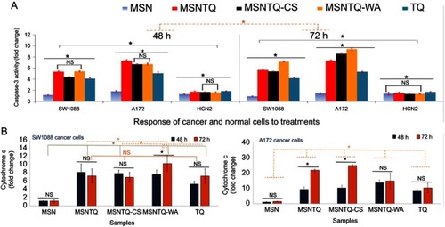 Figure 10 Molecular mechanism of targets of core nanoformulation (MSNTQ), and core-shell nanoformulations (MSNTQ-CS and MSNTQ-WA), and TQ in free form on brain cancer cells (SW1088 and A172), and normal brain cells (HCN2) after 48 and 72 hrs of incubation with cells.Notes: caspase-3 activation in fold change measured by ELISA for all samples after 48 and 72 hrs of incubation with SW1088, A172, and HCN2 at IC50 concentration for each sample (A). Cytochrome c intracellular release in fold change measured by RT-PCR for all samples after 48and 72 hrs of incubation with SW1088, A172, and HCN2 at IC50 concentration for each sample (B). All data are expressed as mean ± standard deviation. The differences are labeled with * (between the samples or time effect) at p<0.05 based on the least significant difference (LSD values). Non-significant differences marked as NS (between the samples or time effect). In case of caspase-3: solid-gray line indicates the significance between cell lines; the dashed-orange line indicates differences between incubation times. In case of cytochrome c: solid-orange line indicates NS between some linked samples together, the solid-olive line indicates significant differences between some linked samples together, and the dashed-orange line indicates the differences between some samples. The cells treated with IC50 concentrations of TQ, MSNTQ, MSNTQ-CS, and MSNTQ-WA. A significant difference was obtained between cell lines (SW1088 and A172, with LSD of 0.655 regarding the obtained mean values of the two groups).Abbreviations: MSNTQ, MSNs loaded with TQ as core; MSNTQ-CS, MSNTQ coated with the shell consists of chitosan and stearic acid; MSNTQ-WA, MSNTQ coated with the shell consists of whey protein and gum Arabic; TQ, thymoquinone; SW1088, human astrocytoma brain cancer cells; A172, human glioma cells; HCN2, human cortical neuronal cells-2 employed as normal cells; ELISA, enzyme-linked immunosorbent assays; IC50, the half maximal inhibitory concentration; SD, standard deviation.