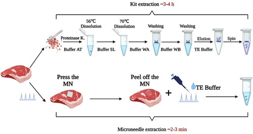 Figure 1. Schematic representation of the DNA extraction method based on the microneedle patches compared with commercial kits.
