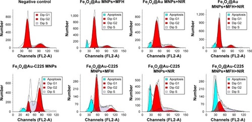 Figure 7 The flow cytometry analysis of U251 cells after different treatments.Note: Apoptosis peak were observed in Fe3O4@Au MNPs+MFH group (7.92%), Fe3O4@Au MNPs+NIR group (8.15%), Fe3O4@Au MNPs+MFH+NIR group (12.37%), Fe3O4@Au-C225 MNPs group (5.77%), Fe3O4@Au-C225 MNPs+MFH group (21.97%), Fe3O4@Au-C225 MNPs+NIR group (21.89%), and Fe3O4@Au-C225 MNPs+MFH+NIR group (46.21%), comparing to negative control group without obvious apoptosis peak.Abbreviations: C225, cetuximab; MFH, magnetic fluid hyperthermia; MNPs, magnetic nanoparticles; NIR, near-infrared hyperthermia.