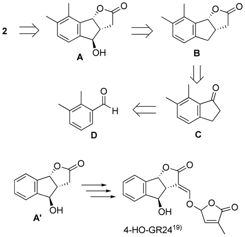 Scheme 1. Synthetic plan for solanacol.