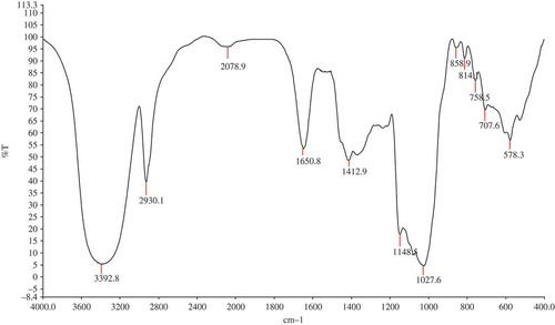 FIGURE 4 IR spectrum of the MEP-1.