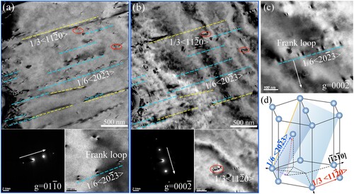 Figure 4. The Two-beam BF-TEM of the solid solution AZ63M alloy, z = [21¯1¯0]: (a) g = [0110], strip-like defects (yellow dashed line) and loop-like defects (blue dashed line) are visible; g = [011¯0], strip-like defects (yellow dashed line), loop-like defects (blue dashed line) and rod-like defects (red loops) are visible; (c) Partial enlargement of Figure b, loop-like defects present in an orderly arrangement; (d) Schematic diagram showing different dislocation Burgers vectors in Mg lattice.