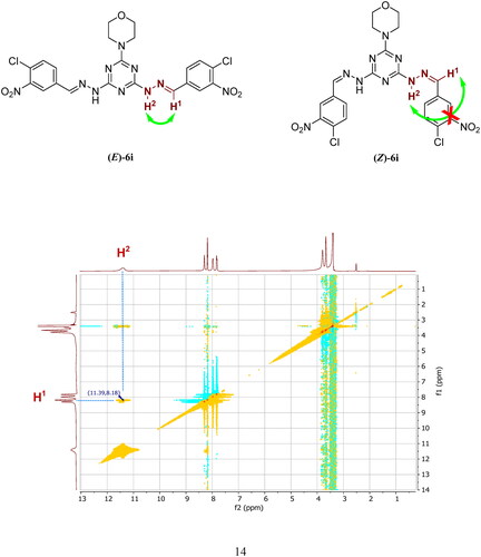 Figure 4. 1H-1H Homonuclear 2 D NOESY spectrum for E-isomer of compound 6i.
