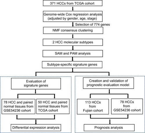 Figure 1 Flow chart for the construction of the prognostic evaluation model.Abbreviations: HCC, hepatocellular carcinoma; TCGA, The Cancer Genome Atlas; NMF, non-negative matrix factorization; PAM, Prediction Analysis for Microarrays; SAM, Significance Analysis of Microarray.