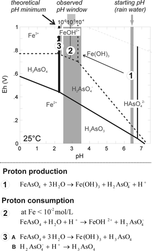 Fig. 10  Eh-pH diagram of dissolved As species (solid lines) and Fe species (broken line) at 10−4 mol/L. The observed pH window of mine residues is added. Reactions controlling pH are listed and the environment they occur in is indicated by circled numbers in the Eh-pH diagram.