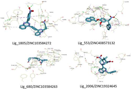 Figure 5 The interactions of Lig_1805/ZINC103584272, Lig_553/ZINC408573132, Lig_680/ZINC103584263, and Lig_2006/ZINC19324645, each with COX-2.