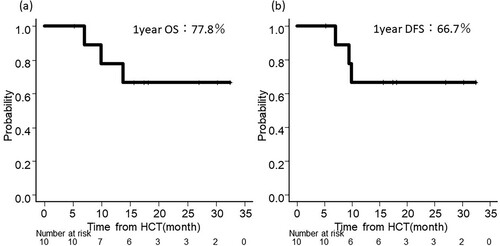 Figure 2. Outcomes of the cohort: (a) overall survival, and (b) disease-free survival starting from transplantation. OS indicates overall survival; DFS, disease-free survival.