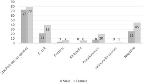 Figure 1 Prevalence of bacterial species isolated from positive cultures according to gender.