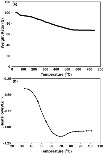 Figure 4. The thermal behaviour of core-shell nanoparticles. (a) The TGA, and (b) the DSC analysis of a typical specimen with AA/MSN weight ratio of 1.0.