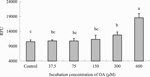Figure 3. LCFA uptake depending on the OA concentration in hepatocytes from grass carp (C. idellus).