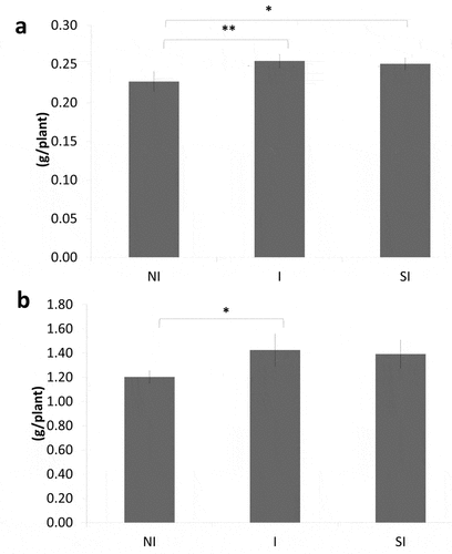 Figure 1. Root dry weight (a) and 'shoot dry weight (b)