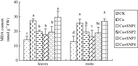 Figure 4. Effects of different concentrations of SNP supply on MDA content in leaves and roots of ryegrass plants grown in nutrient solution without or with 200 µM CuCl2. Values are the mean of three replicates. Each replicate has 20 plants. Bars with different letters are significantly different at P < 0.05.