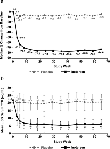 Figure 4. Serum transthyretin (TTR) over time. (a) Median percentage change from baseline and (b) mean absolute TTR level.Reprinted with permission from Benson MD et al. N Engl J Med. 2018;379:22–31.