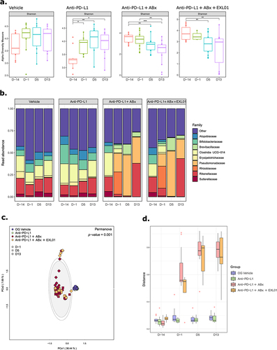 Figure 4. F. prausnitzii EXL01 strain administration does not impact fecal microbiota composition and diversity.