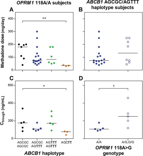 Figure 1 Influence of ABCB1 haplotype group on (A) methadone dose and (C) trough plasma (R)-methadone concentrations (Ctrough) among OPRM1 wild-type (118A/A) subjects; and OPRM1 118A > G genotype on (B) methadone dose and (D) Ctrough among ABCB1 AGCGC/AGTTT haplotype combination subjects.