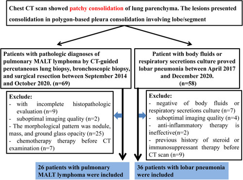 Figure 1 Flow diagram of patients’ selection.