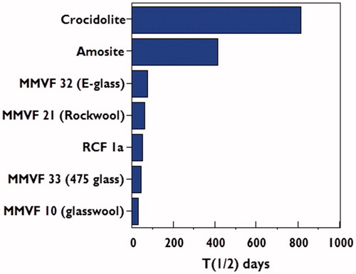 Figure 1. Weighted half-times (days) in the pulmonary region for amphibole asbestos and selected SVFs (Greim et al., Citation2014; Hesterberg et al., Citation1998; Maxim et al., Citation2006).