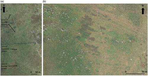 Figure 6. Aerial photograph extracts (Copyright Ordnance Survey) showing striped patterned ground on the intermediate or mid slope to the (a) west and (b) southeast of the Brown Willy summit. The latter shows vegetated stripes.